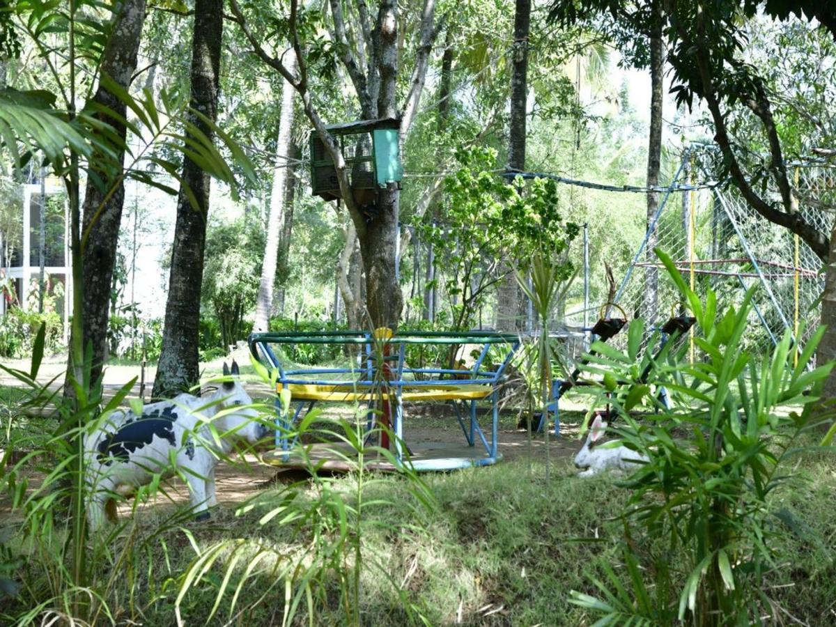 Coorg Green Farm Resort Kushālnagar Dış mekan fotoğraf